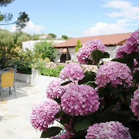 Skiathos Island Troulos