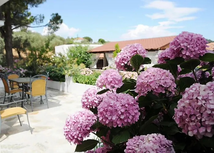 Skiathos Island Troulos